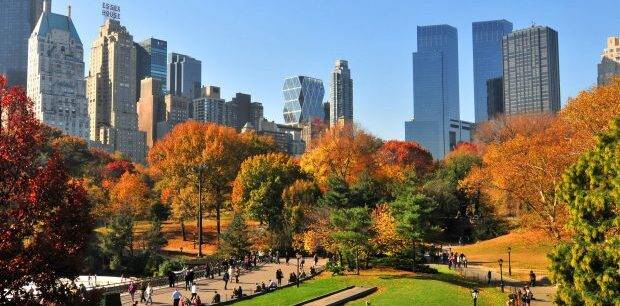 Central-Park-In-Nyc-During-Autumn-Desktop-Wallpaper-620x465