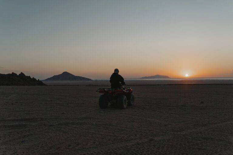 escursione nel deserto